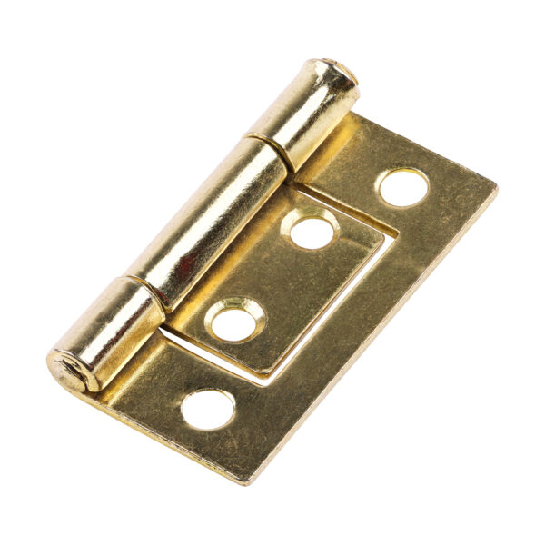 Flush Hinge (105) - Electro Brass 38 x 28