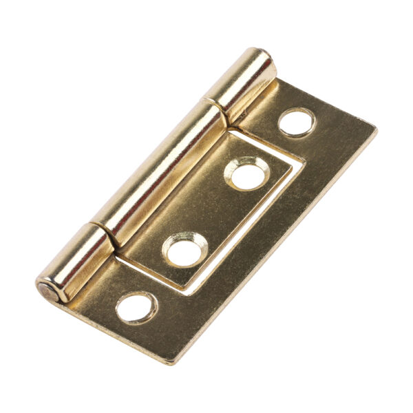 Flush Hinge (105) - Electro Brass 50 x 38.5