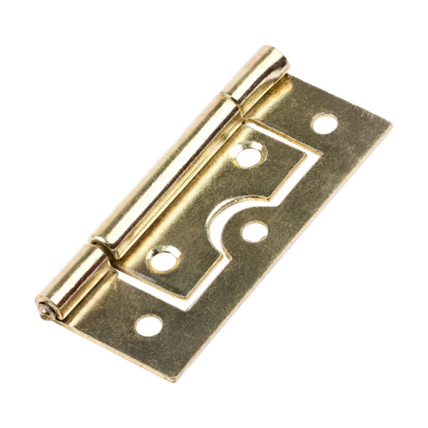 Stacked from 12 images. Method=B (R=8,S=4) Flush Hinge (105) - Electro Brass 63 x 37