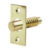 200606_w1.jpg Hinge Bolt - Electro Brass 48mm