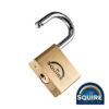 Premium Brass Lion Padlock - Stainless Steel Shackle – LN5S 50mm