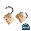 Premium Brass Lion Padlock - Keyed Alike – LN4T 40mm