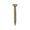 60050C2_w1.jpg C2 Strong-Fix PZ CSK ZYP
