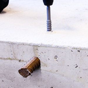 Rebar Cutter Head 22 x 115