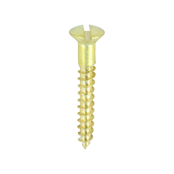 00061RRBS_w1.jpg Brass Timber Screw SLOT R CSK-6 x 1