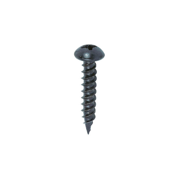 Blackjax Screw PZ2 RND Black-10 x 1