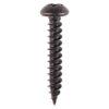 Blackjax Screw PZ2 RND Black-6 x 3/4