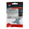 01058CPAZP_w2.jpg S/Tapping Screw PZ2 PAN - BZP-10 x 5/8