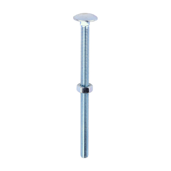 Carriage Bolt & Hex Nut - BZP-M6 x 100
