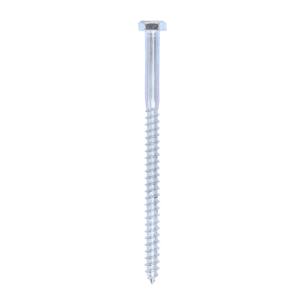 Coach Screw DIN 571 - BZP-6.0 x 100