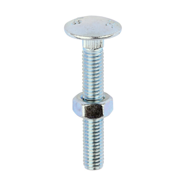 Carriage Bolt & Hex Nut - BZP-M6 x 40