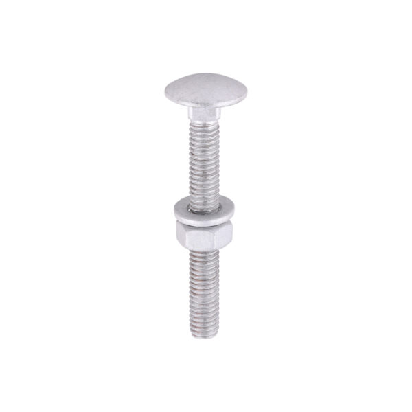 Carriage Bolt Exterior - SO-M6 x 50