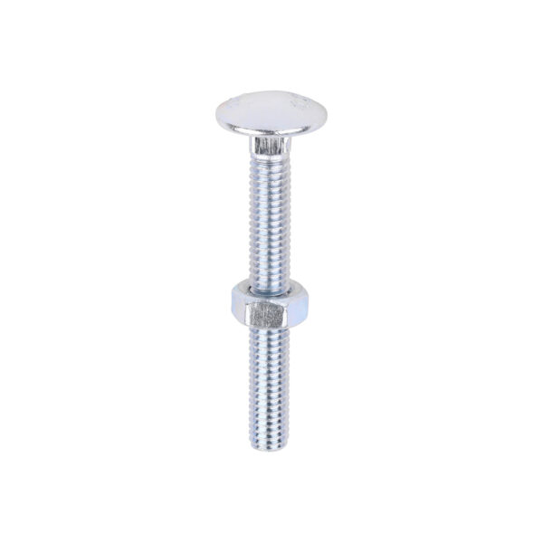 Stacked from 8 images. Method=B (R=8,S=4) Carriage Bolt & Hex Nut - BZP-M6 x 50