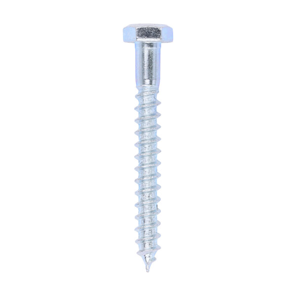 Coach Screw DIN 571 - BZP-6.0 x 50