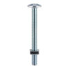 0650RBP_w2.jpg Roofing Bolt & SQ Nut - BZP-M6 x 50