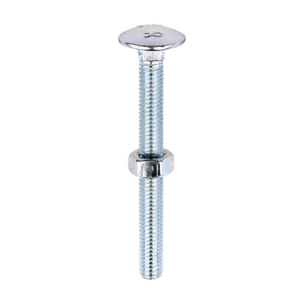 Carriage Bolt & Hex Nut - BZP-M6 x 60