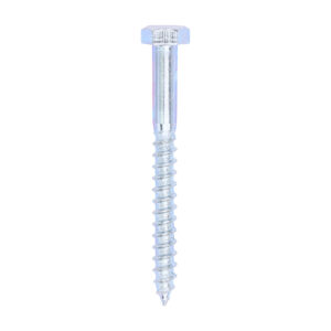 Coach Screw DIN 571 - BZP-6.0 x 60