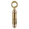 06EYEB_w1.jpg Shield Anchor Eye - ZYP-M6