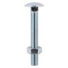 Carriage Bolt & Hex Nut - BZP-M8 x 100
