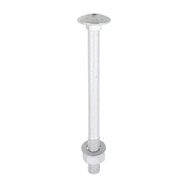 08100CBI_w1.jpg Carriage Bolt Exterior - SO-M8 x 100