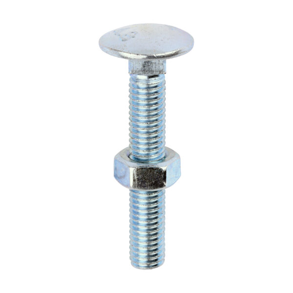 Stacked from 10 images. Method=B (R=8,S=4) Carriage Bolt & Hex Nut - BZP-M8 x 50