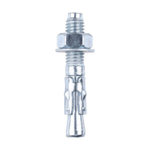 Throughbolt - BZP-M8 x 50