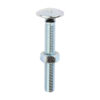 Stacked from 10 images. Method=B (R=8,S=4) Carriage Bolt & Hex Nut - BZP-M8 x 60