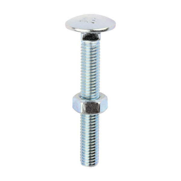 Stacked from 10 images. Method=B (R=8,S=4) Carriage Bolt & Hex Nut - BZP-M8 x 60