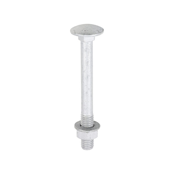 Carriage Bolt Exterior - SO-M8 x 75