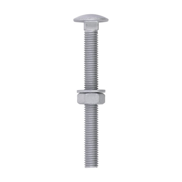 Carriage Bolt Exterior - SO-M10 x 100