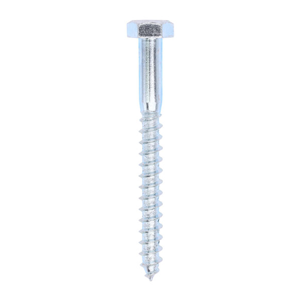 10100CSC_w1.jpg Coach Screw DIN 571 - BZP-10.0 x 100