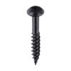 Blackjax Screw PZ2 RND Black-10 x 1 1/4