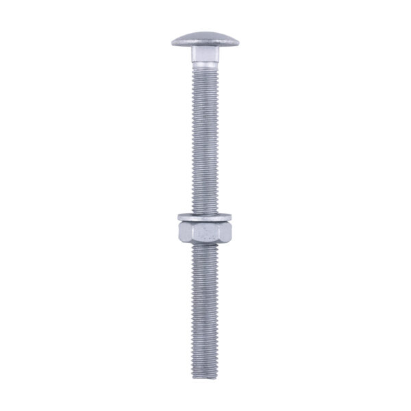 Stacked from 4 images. Method=B (R=8,S=4) Carriage Bolt Exterior - SO-M10 x 120