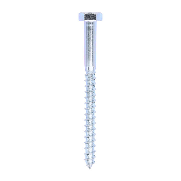 Coach Screw DIN 571 - BZP-10.0 x 120