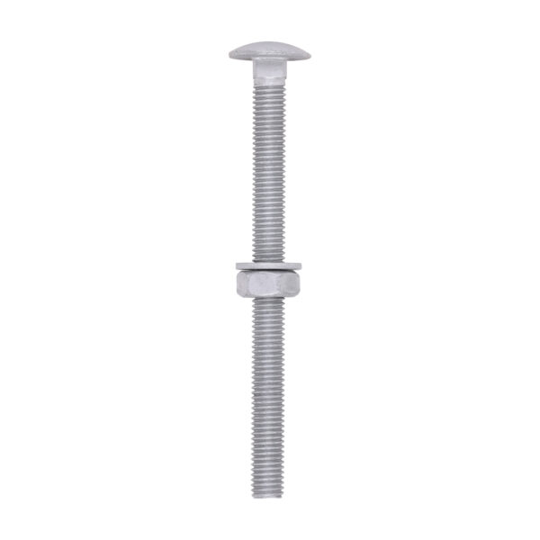 Carriage Bolt Exterior - SO-M10 x 130
