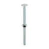 Carriage Bolt & Hex Nut - BZP-M10 x 150