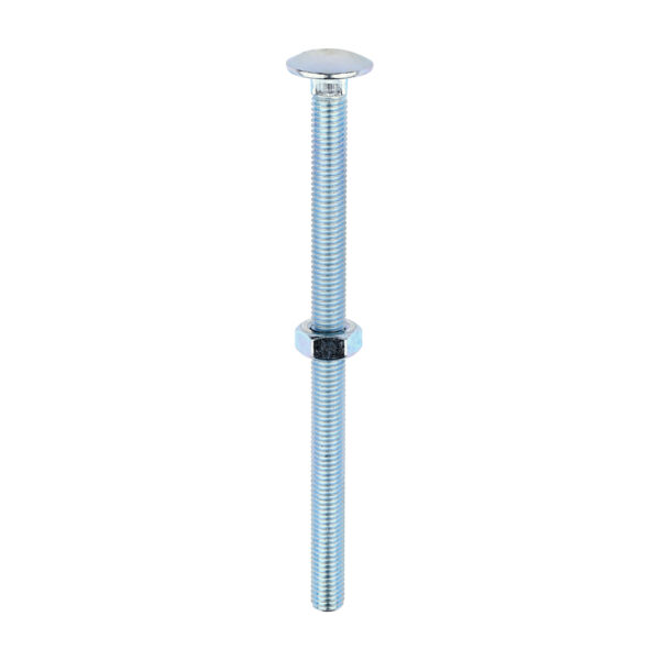 Stacked from 8 images. Method=B (R=8,S=4) Carriage Bolt & Hex Nut - BZP-M10 x 160