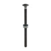 Stacked from 10 images. Method=B (R=8,S=4) Carriage Bolt,Nut & Washer-GRN-M10 x 160