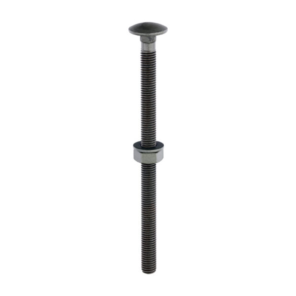 Stacked from 10 images. Method=B (R=8,S=4) Carriage Bolt,Nut & Washer-GRN-M10 x 160