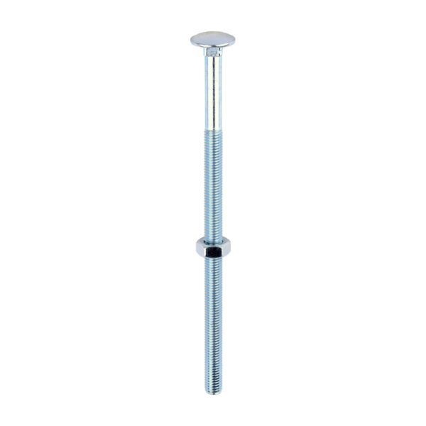 Stacked from 20 images. Method=B (R=8,S=4) Carriage Bolt & Hex Nut - BZP-M10 x 200