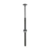 Stacked from 10 images. Method=B (R=8,S=4) Carriage Bolt,Nut & Washer-GRN-M10 x 220