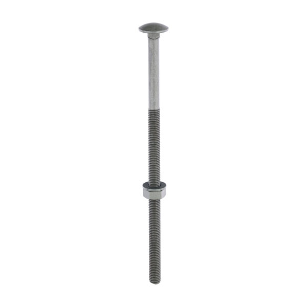 Stacked from 10 images. Method=B (R=8,S=4) Carriage Bolt,Nut & Washer-GRN-M10 x 220
