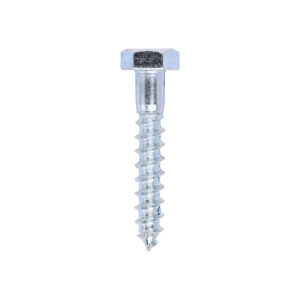 Coach Screw DIN 571 - BZP-10.0 x 60