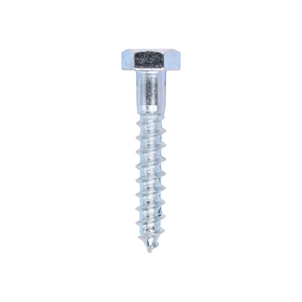 Coach Screw DIN 571 - BZP-10.0 x 60