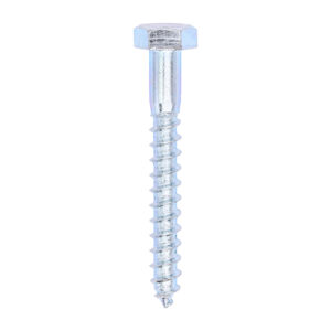 Coach Screw DIN 571 - BZP-10.0 x 80