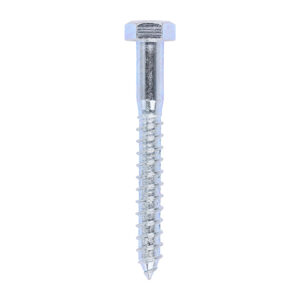 Coach Screw DIN 571 - BZP-12.0 x 100