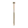 Advanced Coach Screw ZYP-12.0 x 160