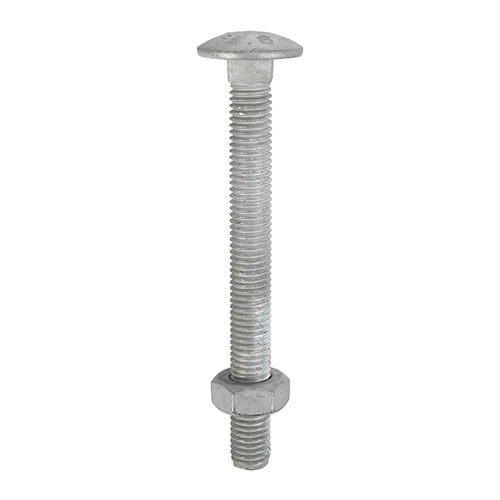 Carriage Bolt & Hex Nut - HDG-M12 x 200