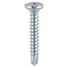 S/Drill PVC Friction Screw BZP-4.8 x 19