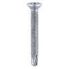 S/Drill PVC Screw CSK - BZP-M4 x 19